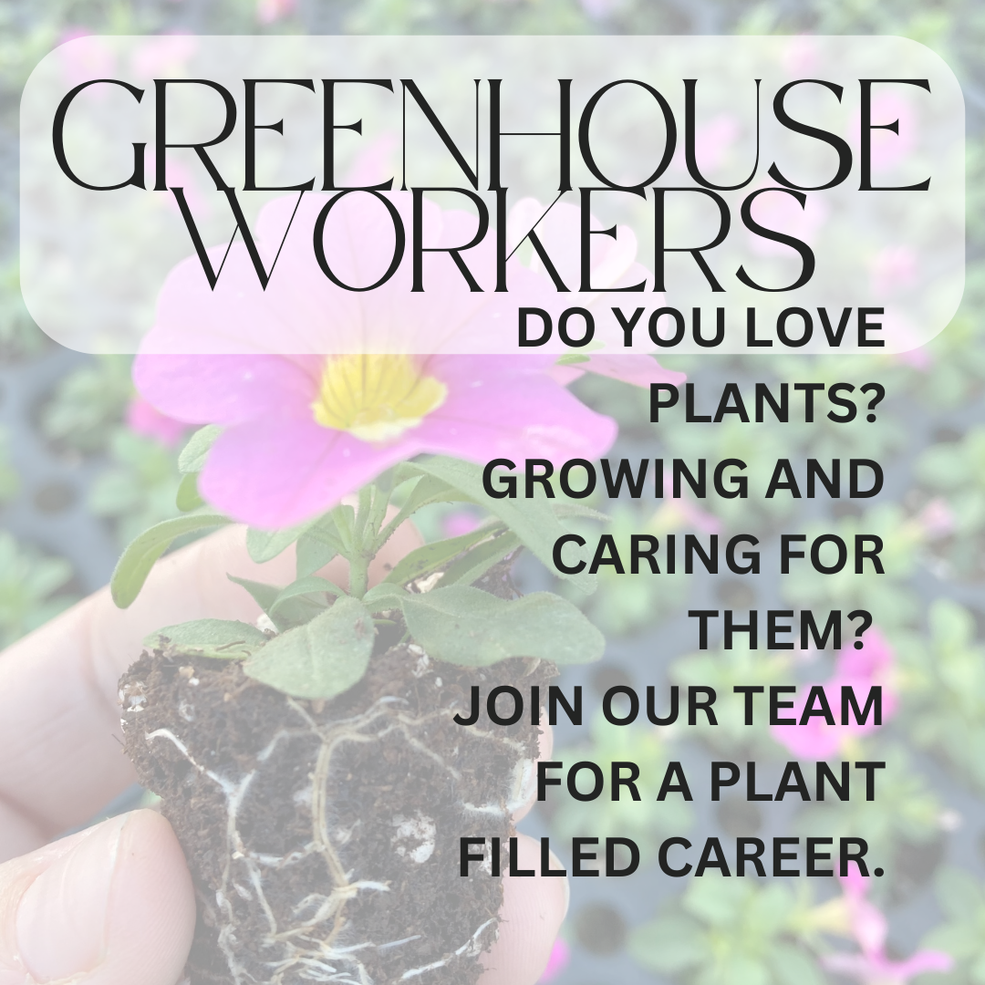 GREENHOUSE WORKERS