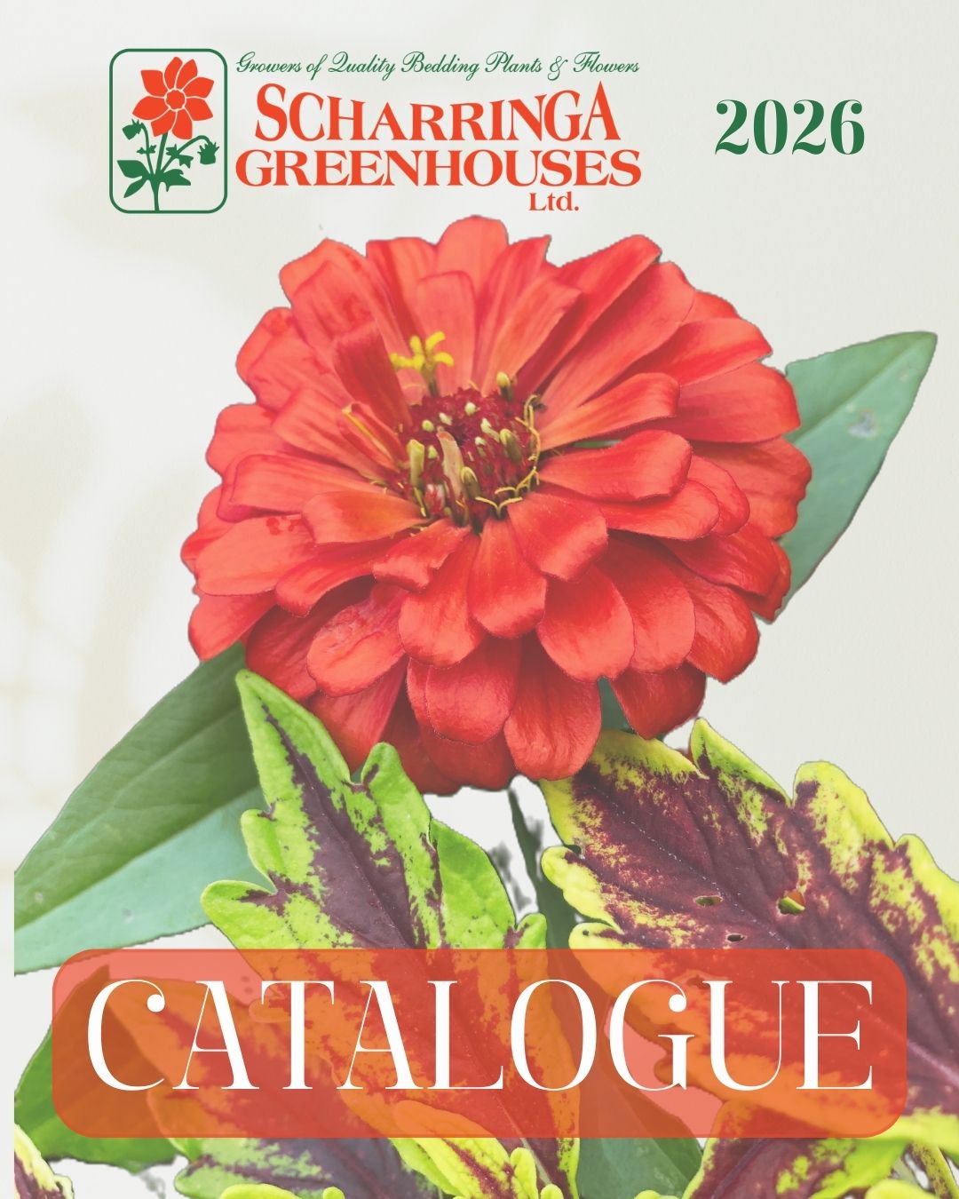 Scharringa 2026 Catalogue